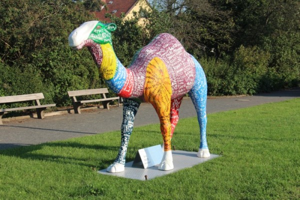 IMG_0897 (Andere).JPG