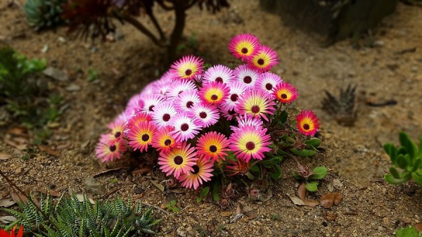 20150620_135323.jpg 900x506.jpg