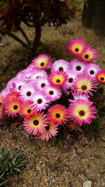 20150620_135340.jpg 900x506.jpg