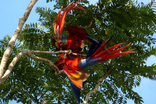 P1010518A 900 CR.jpg