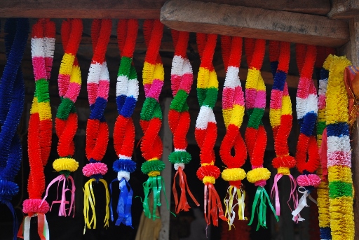 Sri Lanka (280) (512x343).jpg