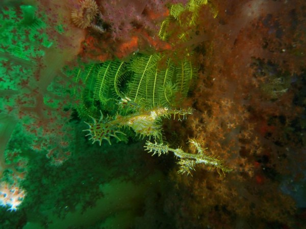 tn_asdghadfh (72).JPG