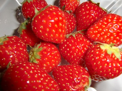 Erdbeeren.jpg
