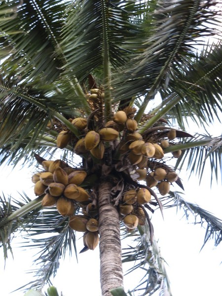 IMG_1096.jpg verkleinert.jpg