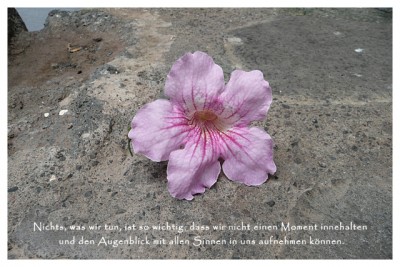 Karte Achtsamkeit.JPG