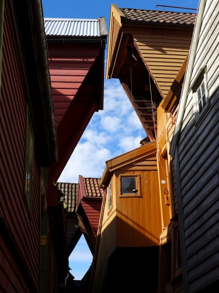 P1040333.jpg 675x900.jpg