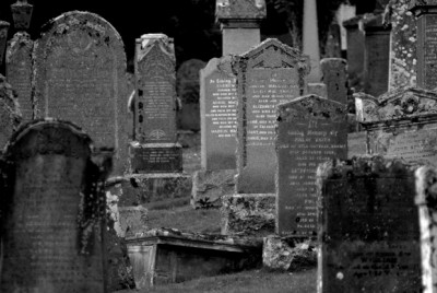 IMGP1644 sw 620x415.jpg