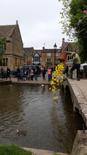 20160530_113137.jpg 506x900.jpg