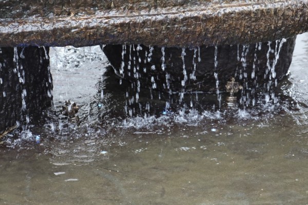 IMG_2301 (Andere).JPG