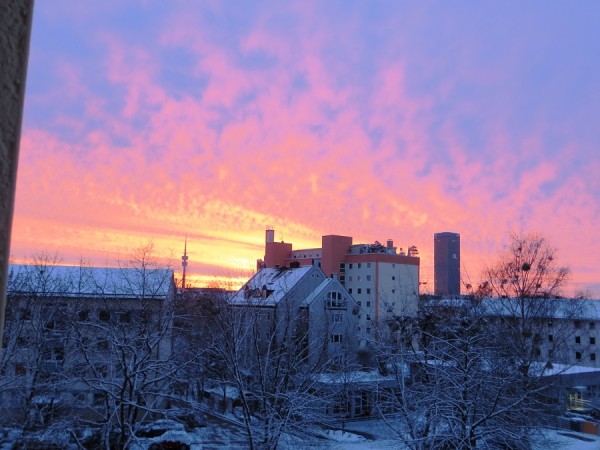 IMG_7501 Stimmung.jpg