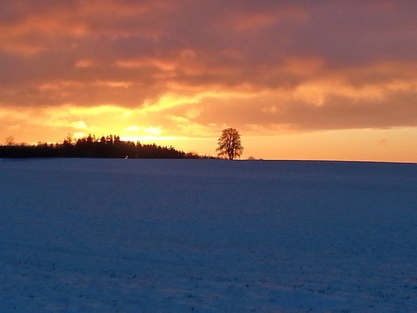 Sonnenaufgang am 23.11.2015.jpg