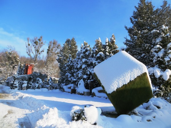 IMG_7624 Würfel.jpg