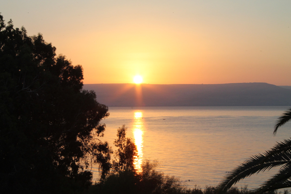 Israel 2012 See Genesareth 4.jpg