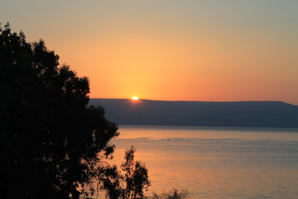 Israel 2012 See Genesareth 2.jpg