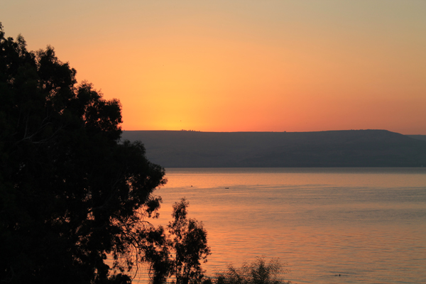 Israel 2012 See Genesareth.jpg