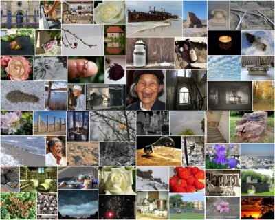 Challenge 07-2012 Vergänglichkeit.jpg