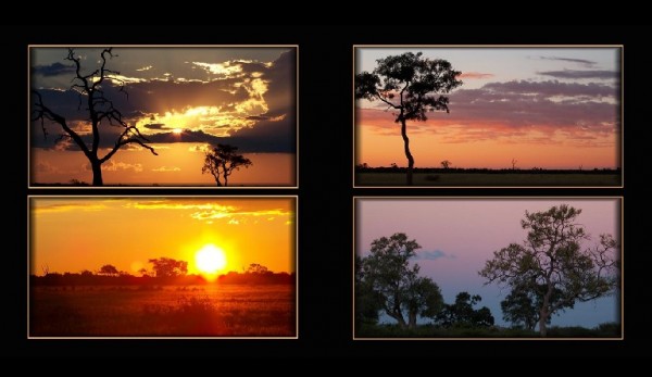 Afrikanischer Sonnenuntergang.jpg