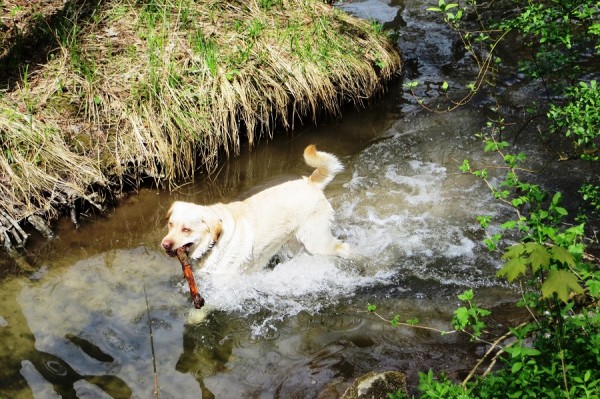 IMG_8419 Curtis 1.jpg