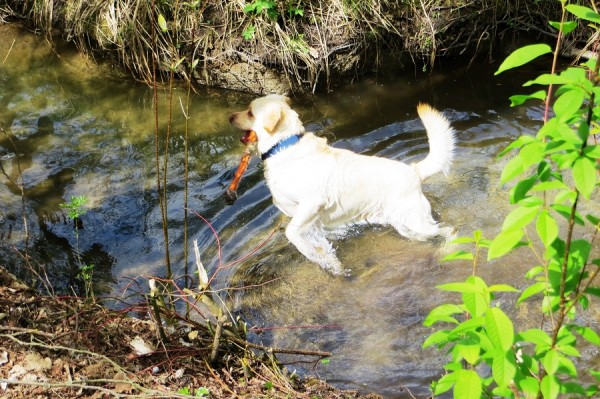 IMG_8420 Curtis 2.jpg