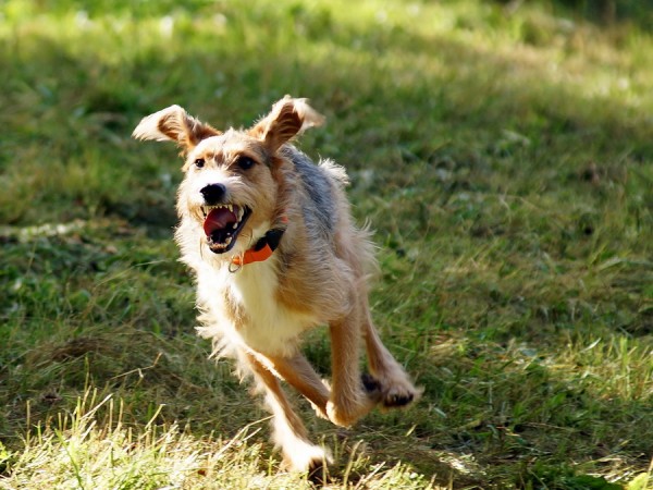 01_2_Bildgröße ändern.JPG