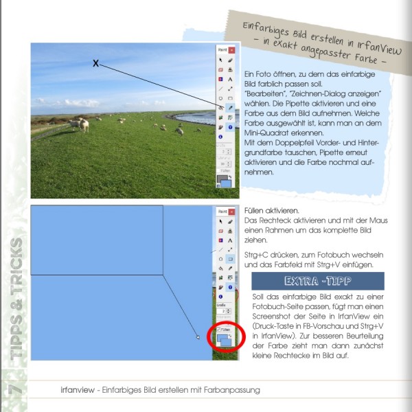 Einfarbiges Bild irfanview3.jpg