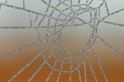 Eiskristall-Spinnennetz.jpg