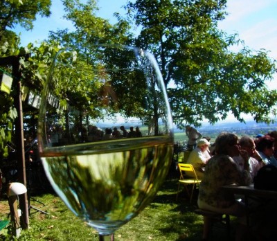 RIMG0031 - Kopie.JPG