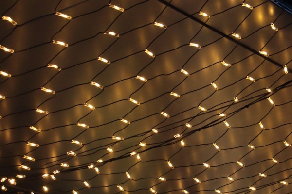 IMG_2491 (Andere).JPG