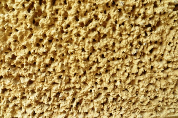 IMG_1731 Verputz.jpg