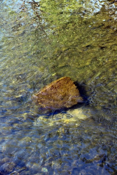 IMG_3102 (Andere).JPG