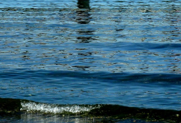 Wasser P1140222skal.JPG