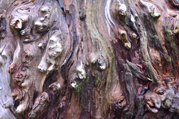 Lofoten 2016-1045.JPG