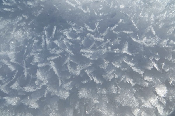 IMG_5291 Schnee 2.jpg