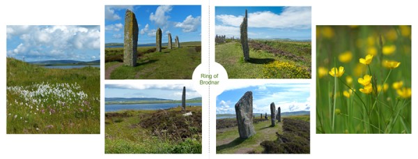 Orkney Ring of Brodnar.jpg