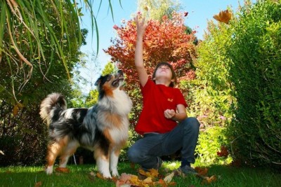 herbstdenis Kopie.jpg