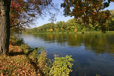 Herbst an der Donau.jpg