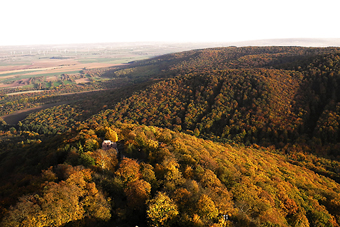 Kyffhäuser_Herbst_Wald.jpg