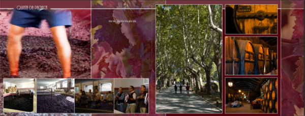 Screenshot (73)_s.png