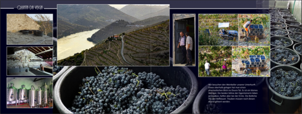 Screenshot (74)_s.png