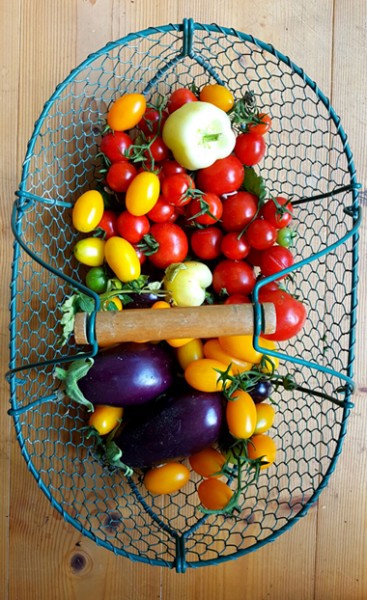 Reichliche Ernte.jpg