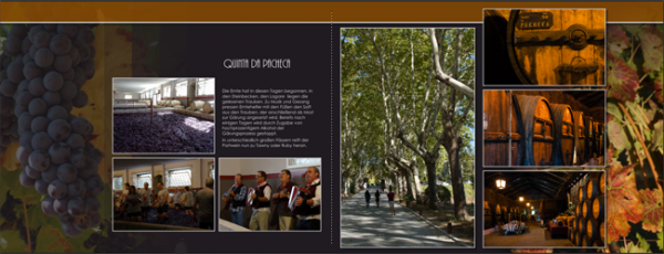 Screenshot (80)_s.png