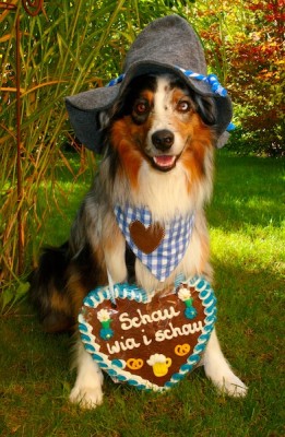 oktoberfest Kopie.jpeg