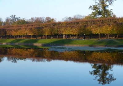 Herbst im Brühler Schlosspark.JPG