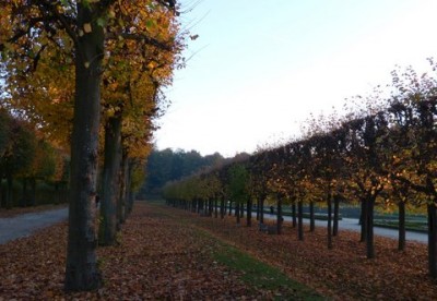 Herbst im Brühler Schlosspark 3.JPG