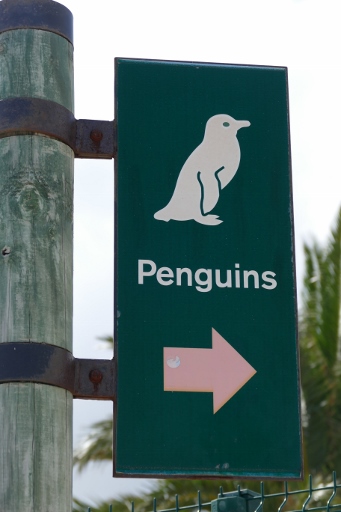 P1100558 (341x512).jpg