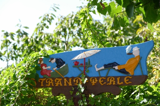 P1190032 (512x341).jpg