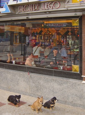 Spanien angeleint.jpg