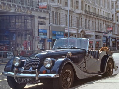 +0 11 hund  paris.jpg