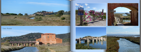 Screenshot (203).png