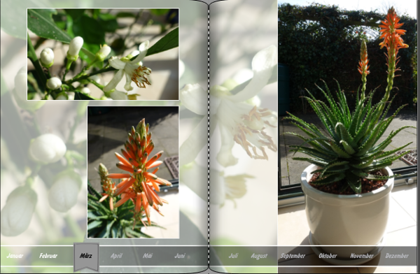 Screenshot (159).png